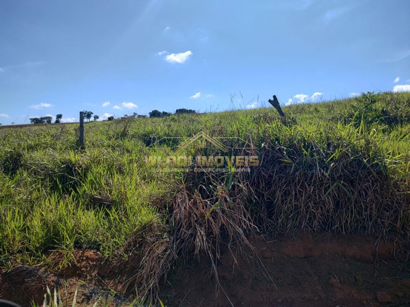 Fazenda à venda, 11m² - Foto 7