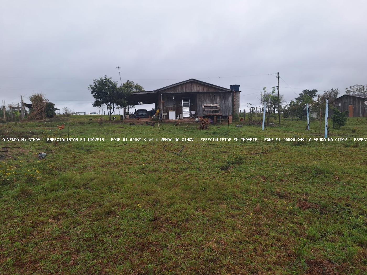 Fazenda à venda, 10000m² - Foto 3