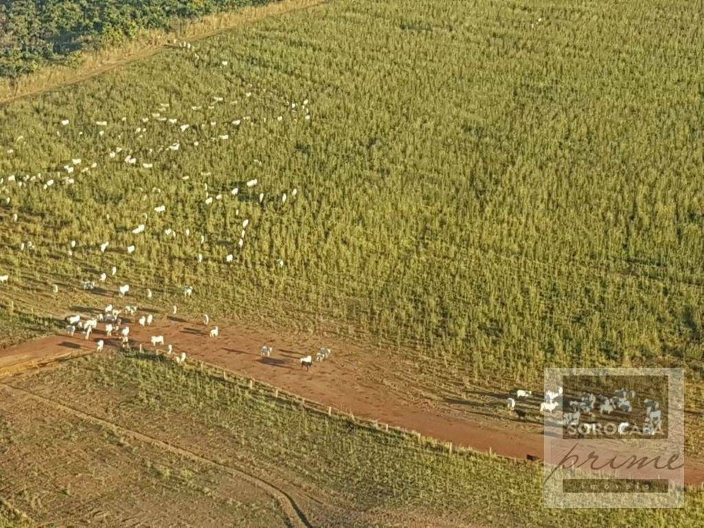 Fazenda, 17500 hectares - Foto 3