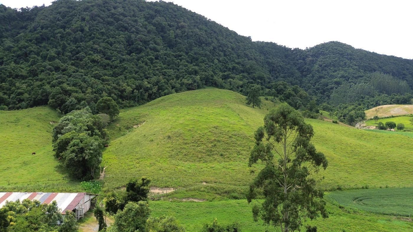 Fazenda à venda com 5 quartos, 450000m² - Foto 28
