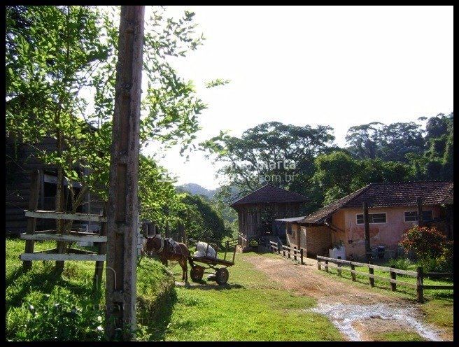 Fazenda à venda com 10 quartos, 5000m² - Foto 12