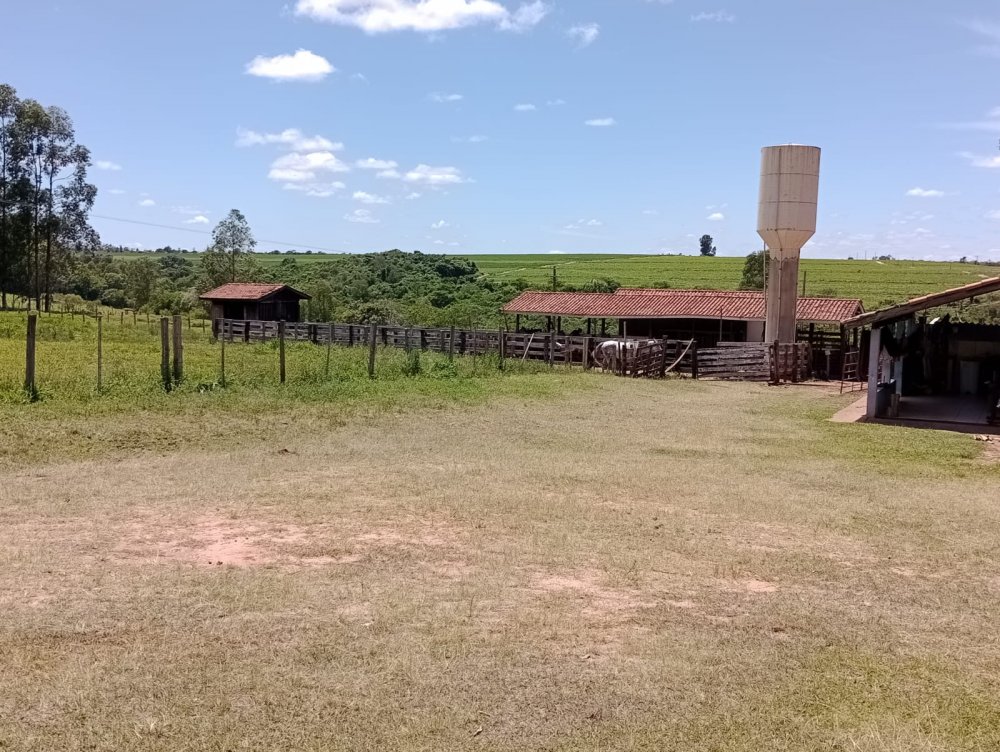 Fazenda-Sítio-Chácara, 25 hectares - Foto 10