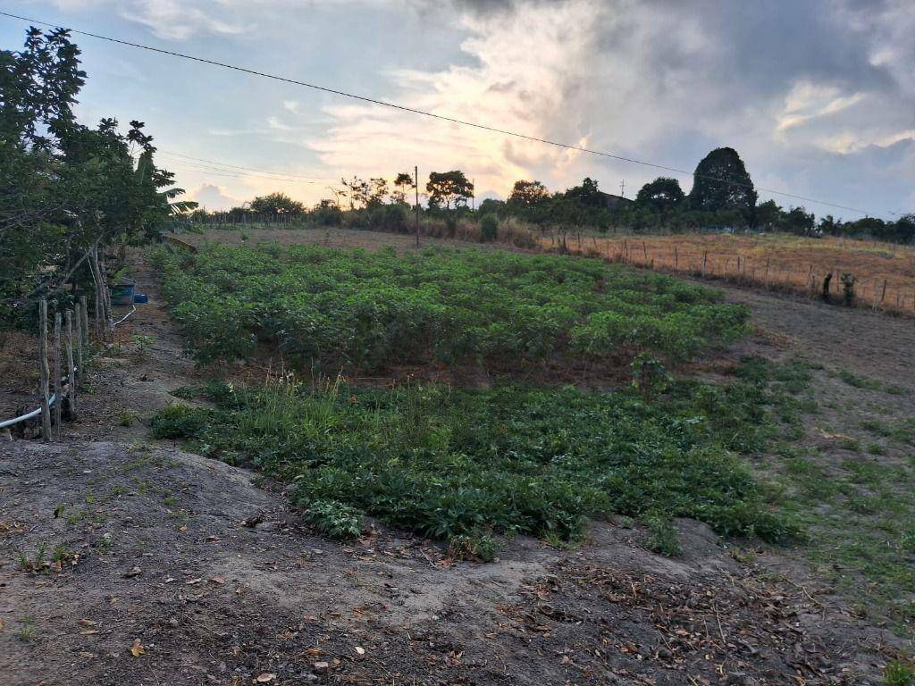 Chácara à venda com 2 quartos, 12000000M2 - Foto 19
