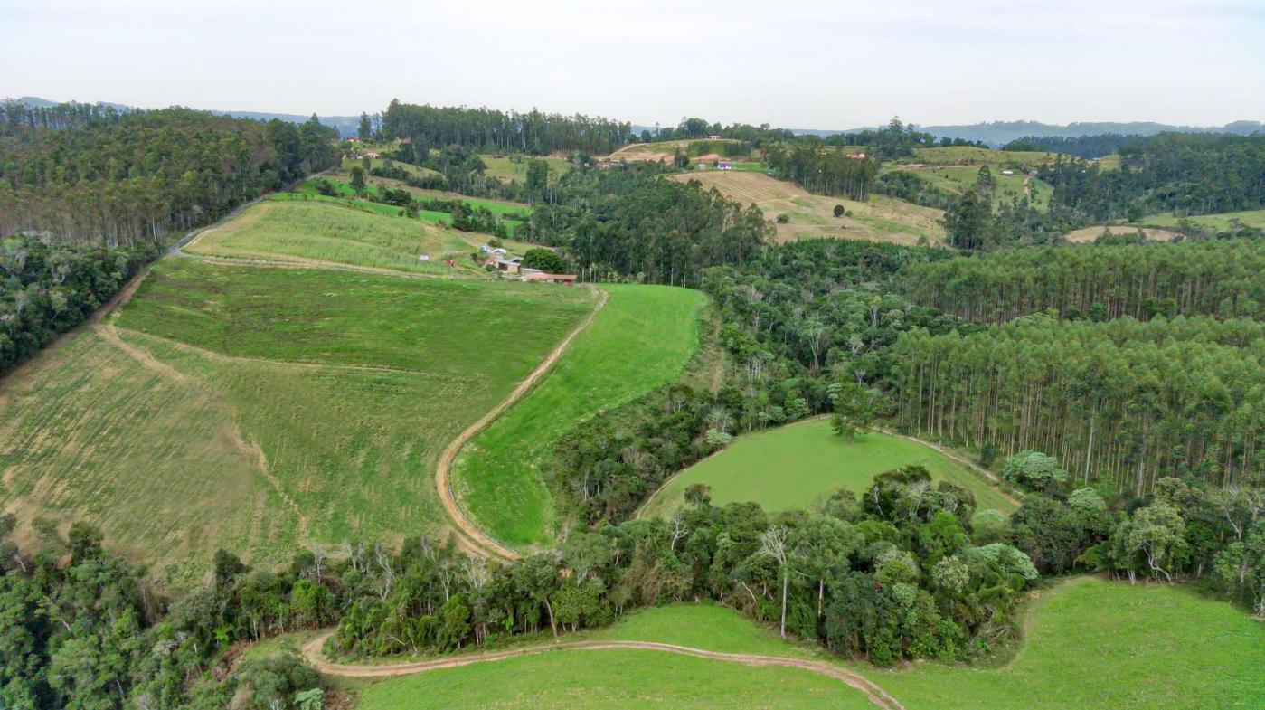 Fazenda à venda com 3 quartos, 205000m² - Foto 35