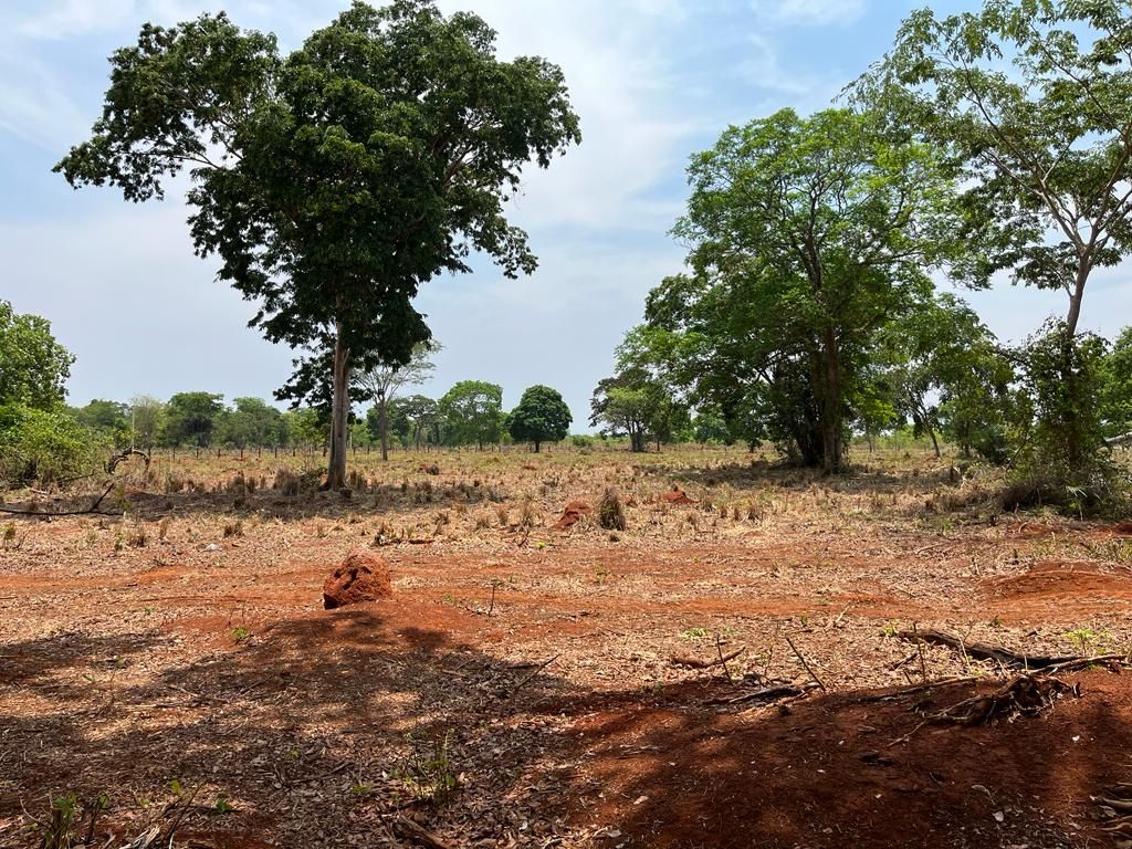 Fazenda-Sítio-Chácara, 953 hectares - Foto 2