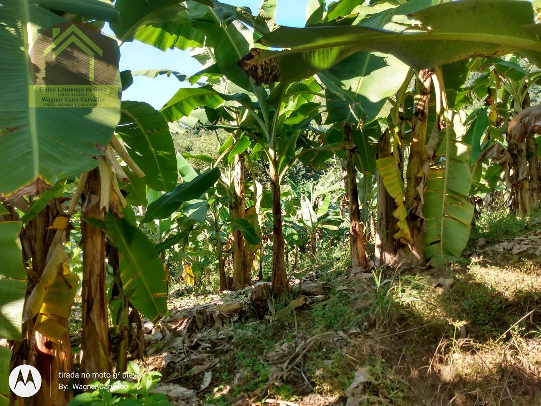 Fazenda à venda com 2 quartos, 8m² - Foto 10