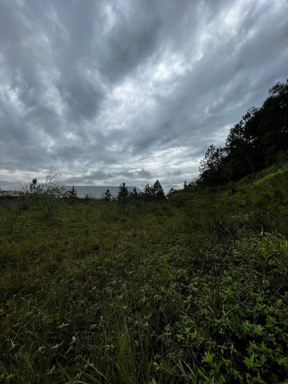 Terreno, 8868 m² - Foto 4