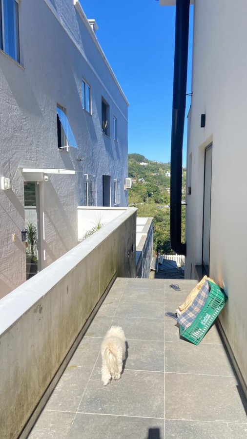 Casa para alugar com 4 quartos, 270m² - Foto 36
