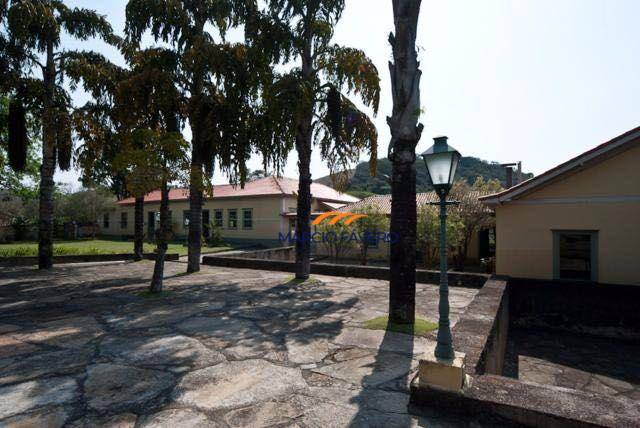 Fazenda, 920 hectares - Foto 3