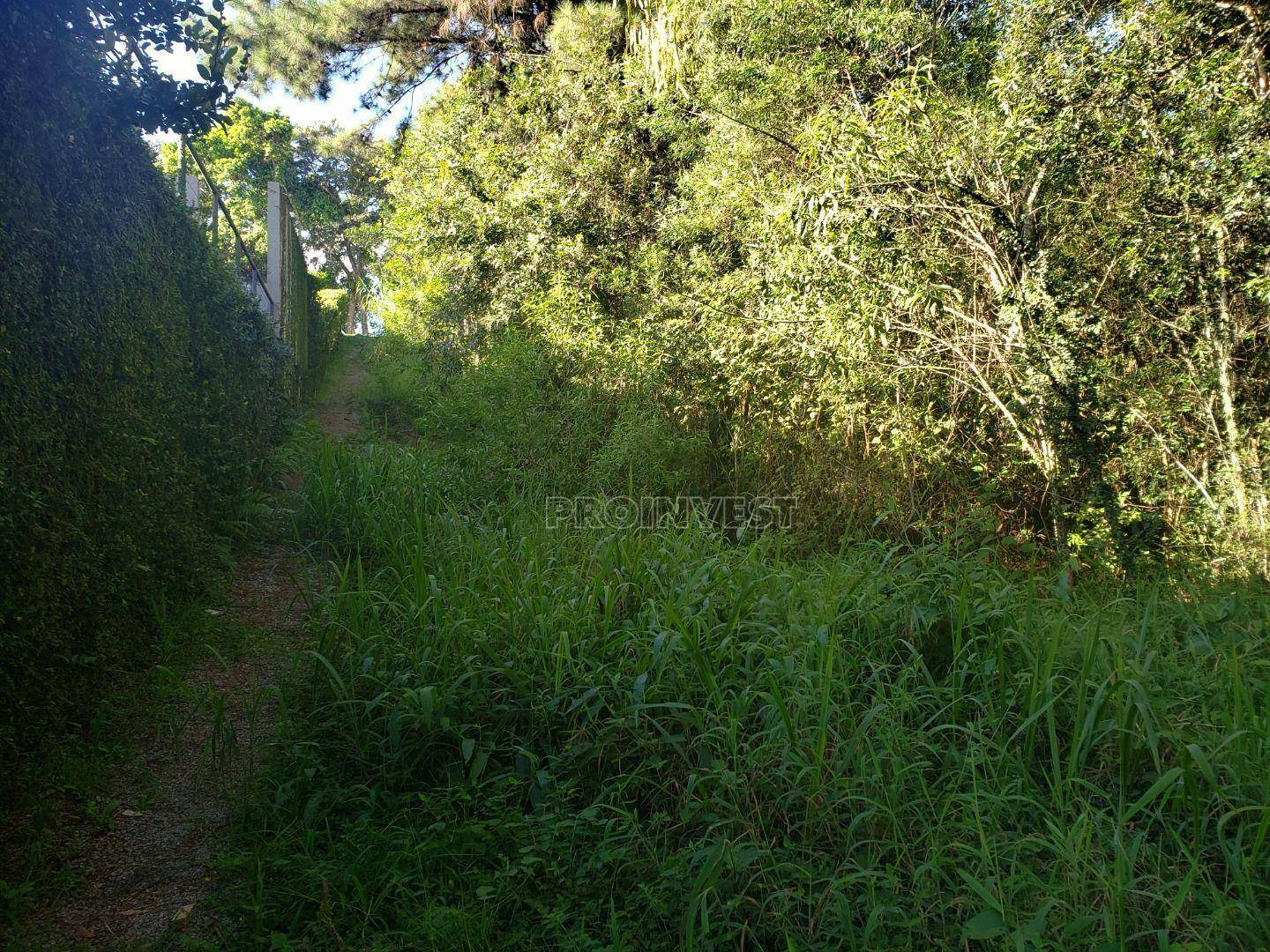 Loteamento e Condomínio à venda, 2530M2 - Foto 2