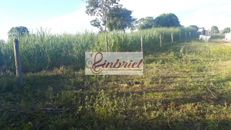 Fazenda à venda, 11000000m² - Foto 3