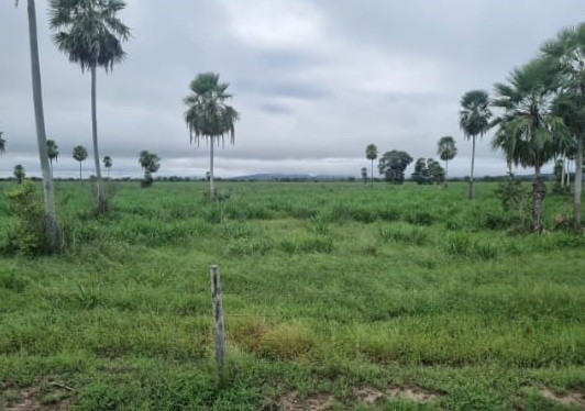 Fazenda à venda, 7300m² - Foto 10