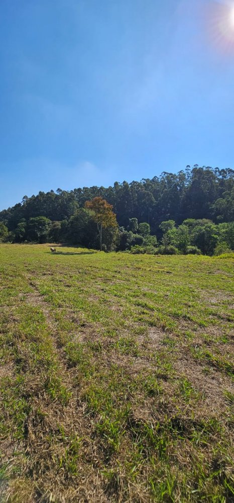 Terreno à venda, 1000m² - Foto 7