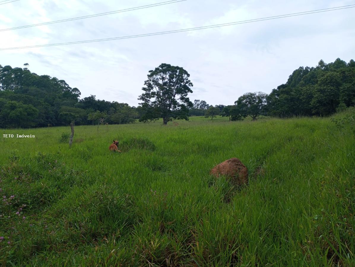 Fazenda à venda com 4 quartos, 36m² - Foto 31