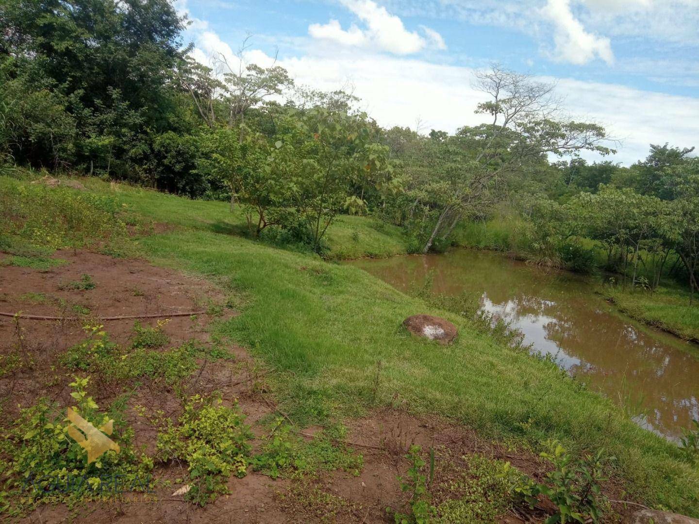 Chácara à venda com 1 quarto, 45000M2 - Foto 6