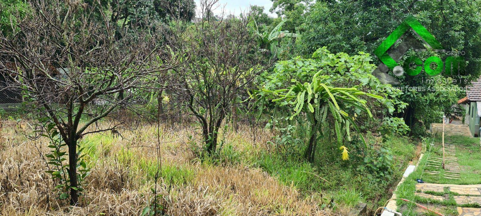 Terreno à venda, 2200M2 - Foto 14