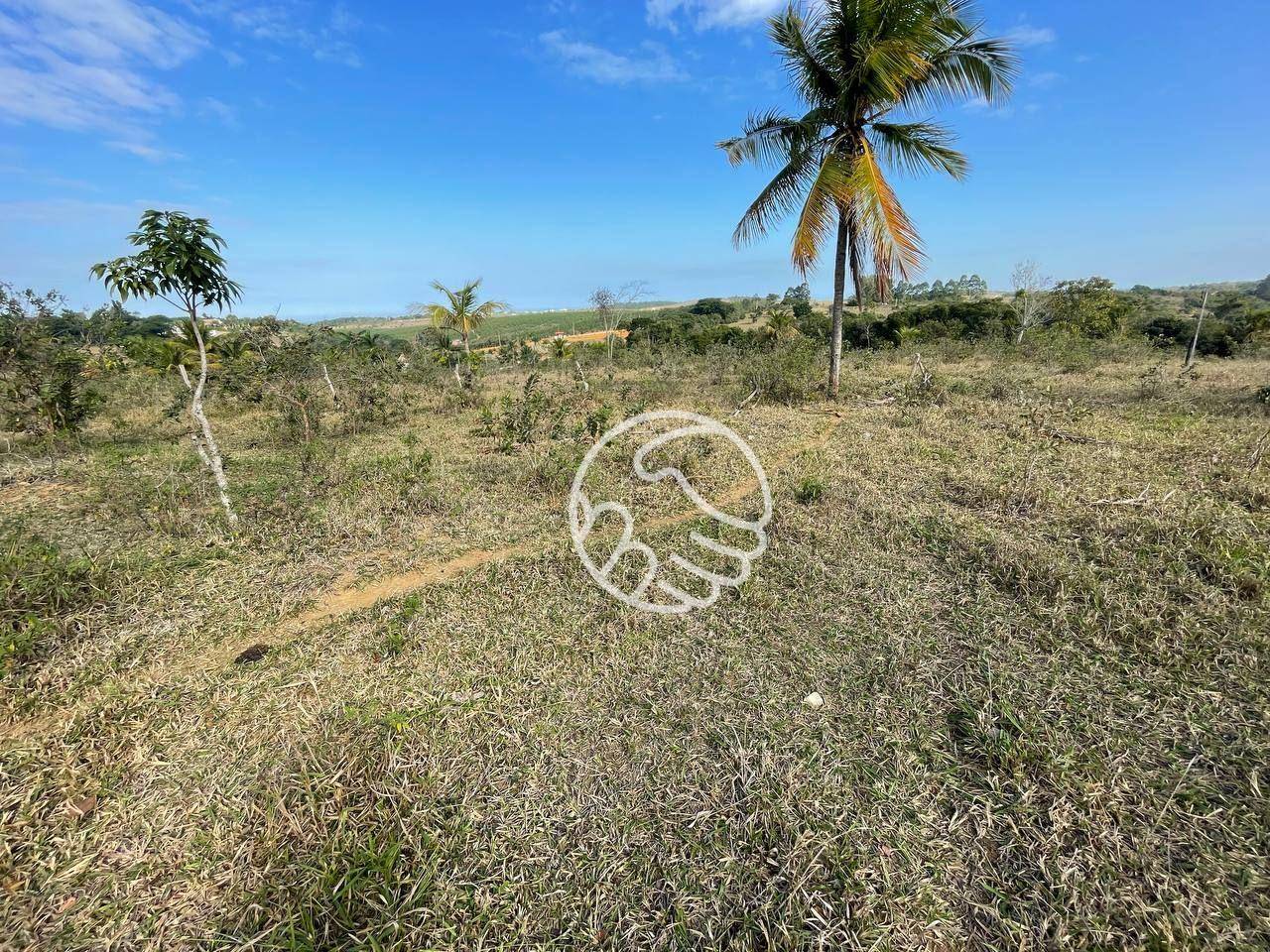 Sítio, 12 hectares - Foto 15