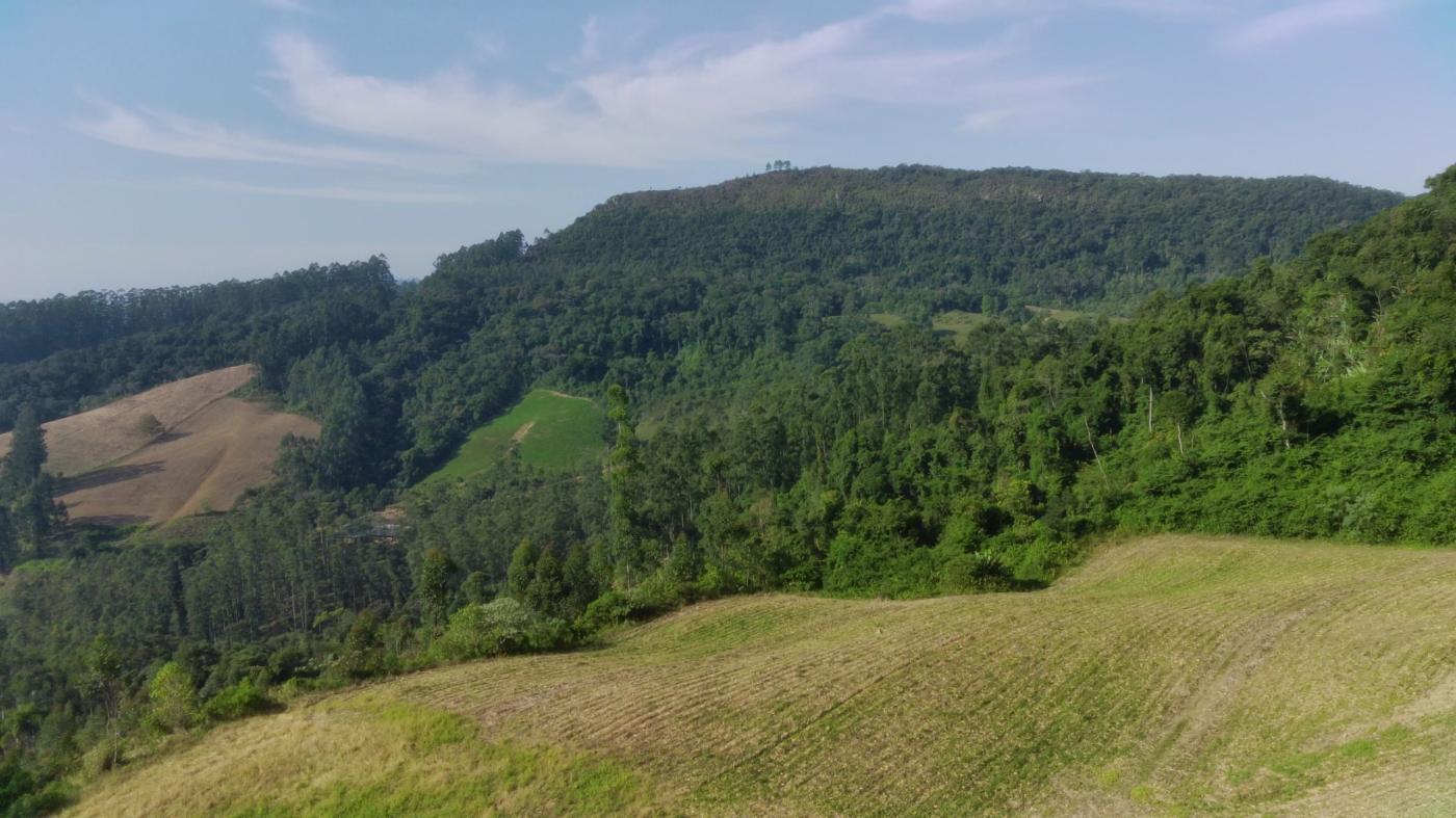 Sítio à venda, 198000m² - Foto 14