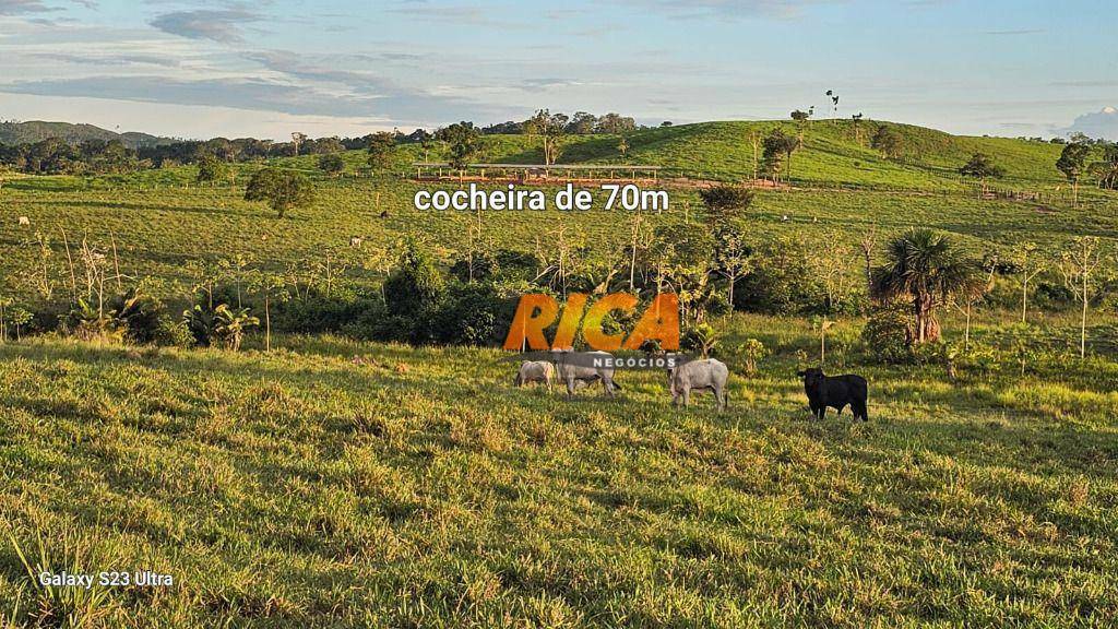 Fazenda à venda, 5000000M2 - Foto 33