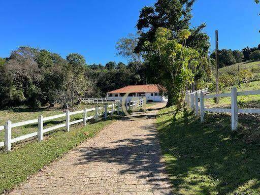 Haras e Área Rural Padrão à venda com 16 quartos, 2400m² - Foto 29