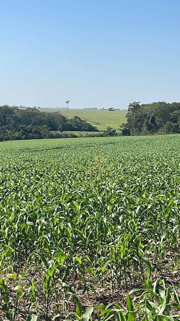 Fazenda à venda com 3 quartos, 1524600M2 - Foto 1