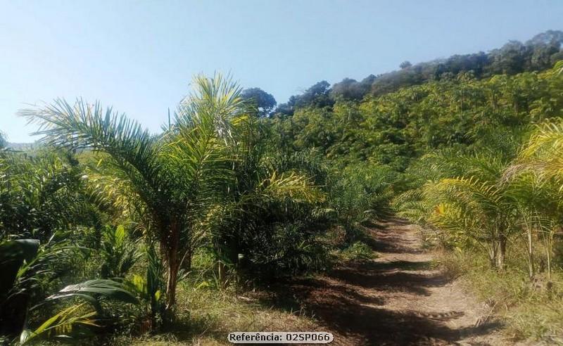 Fazenda à venda com 4 quartos, 120000m² - Foto 3