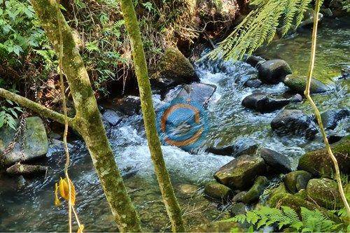 Chácara, 2 quartos, 5 hectares - Foto 3