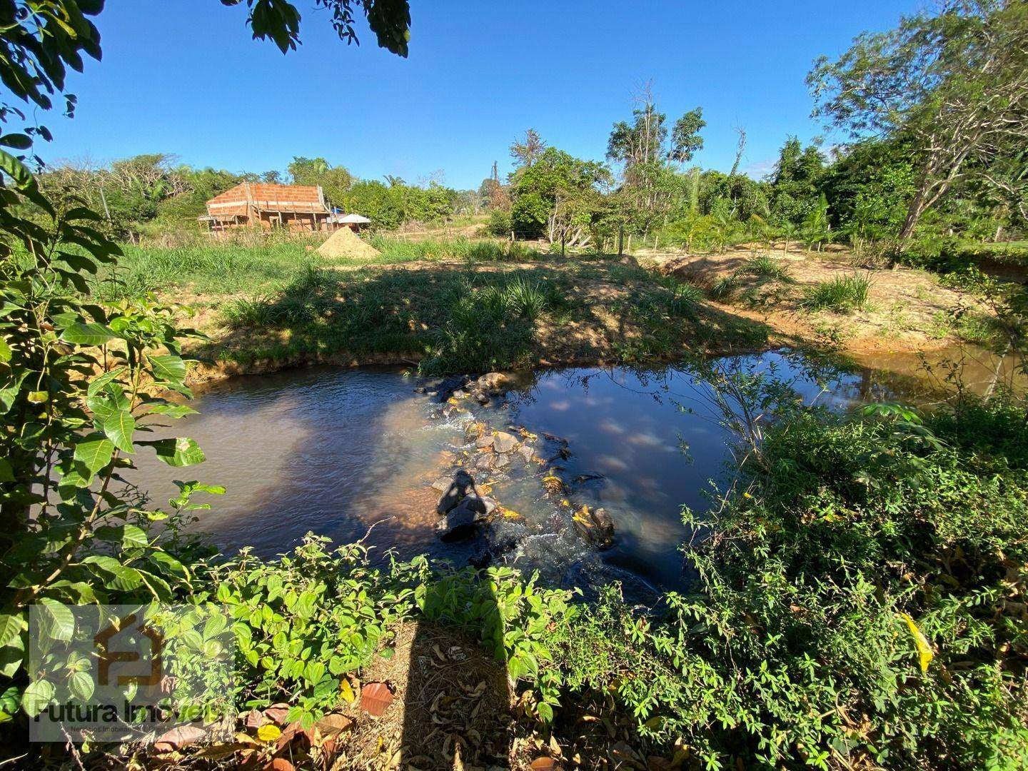 Chácara à venda com 3 quartos, 6000M2 - Foto 31
