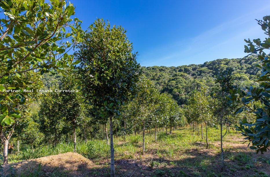 Fazenda à venda com 1 quarto, 2750000m² - Foto 3