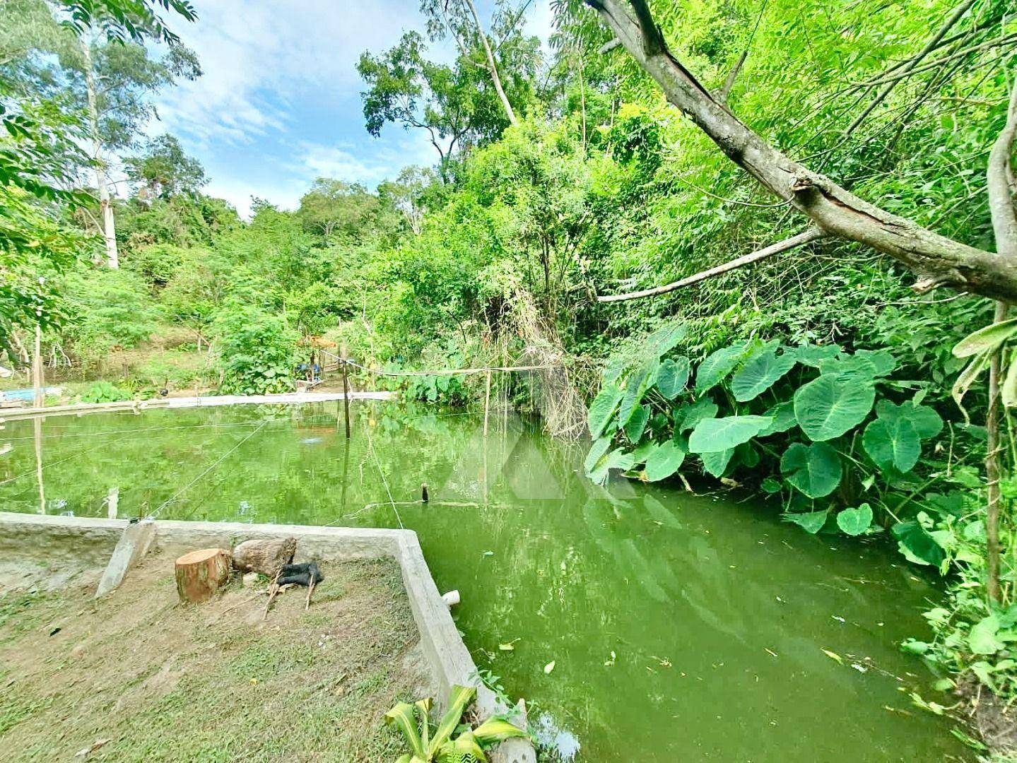 Chácara, 3 quartos, 1 hectares - Foto 3