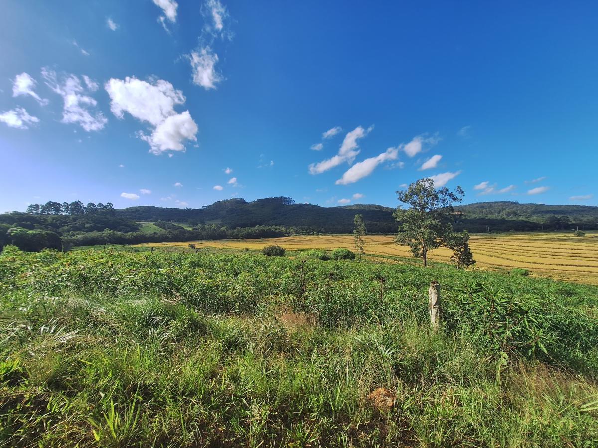 Loteamento e Condomínio à venda, 26000m² - Foto 3