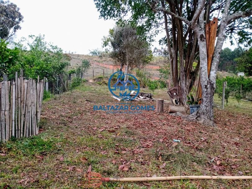 Fazenda à venda com 2 quartos, 4000m² - Foto 4