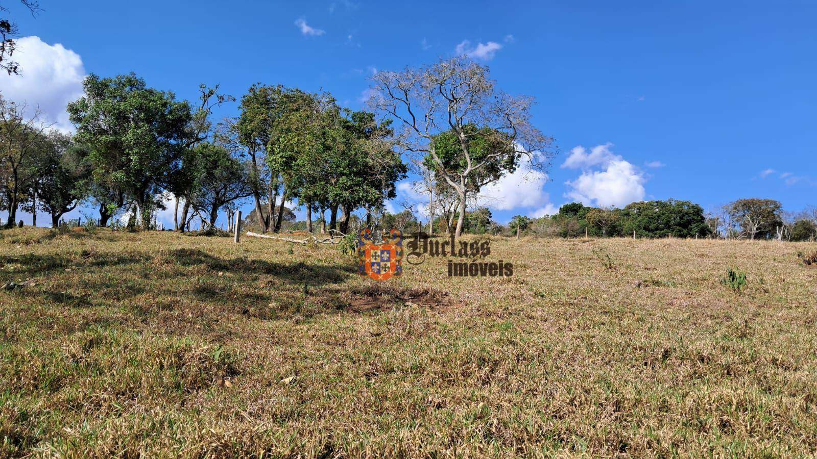 Sítio à venda com 4 quartos, 57000M2 - Foto 25