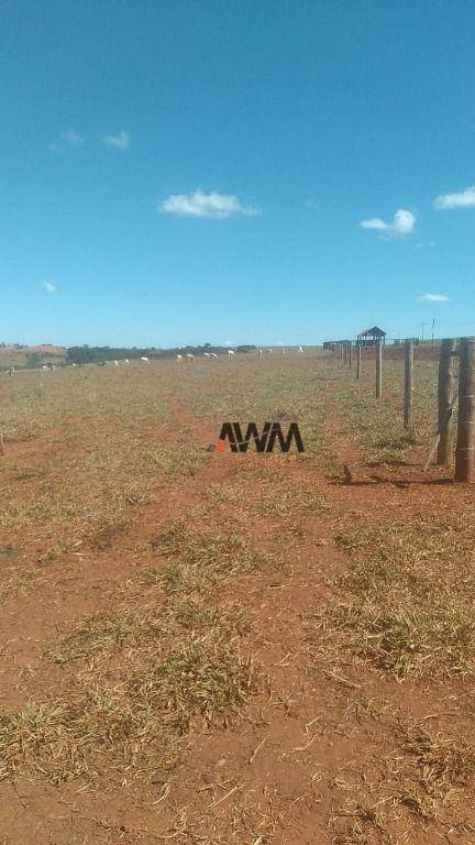 Fazenda-Sítio-Chácara, 454 hectares - Foto 4