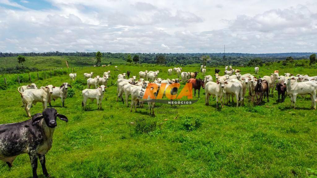 Fazenda à venda, 8000000M2 - Foto 2