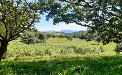 Sítio à venda com 2 quartos, 210000m² - Foto 26
