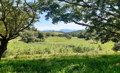 Fazenda à venda com 2 quartos, 210000m² - Foto 26