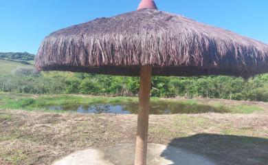 Fazenda à venda com 2 quartos, 4000m² - Foto 12