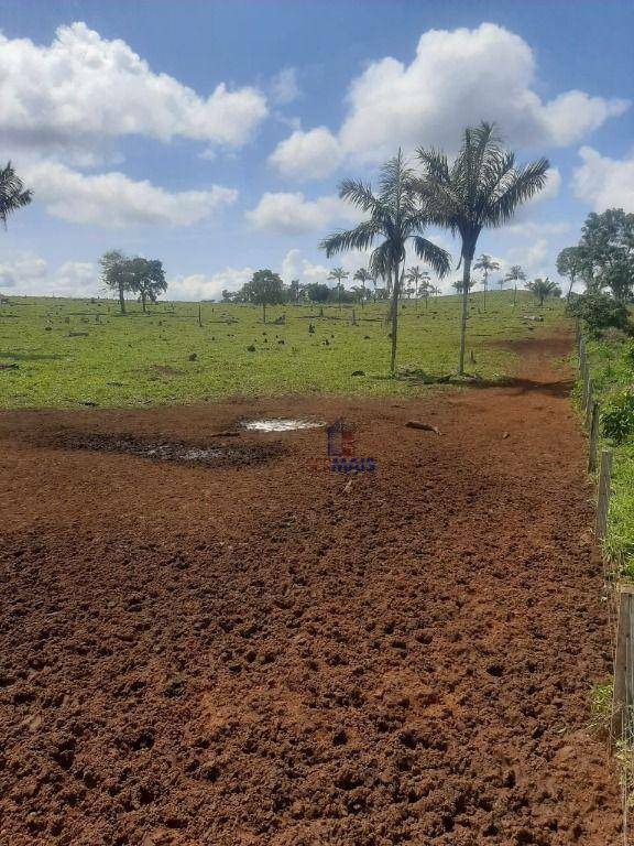 Fazenda à venda com 1 quarto, 3533200M2 - Foto 7