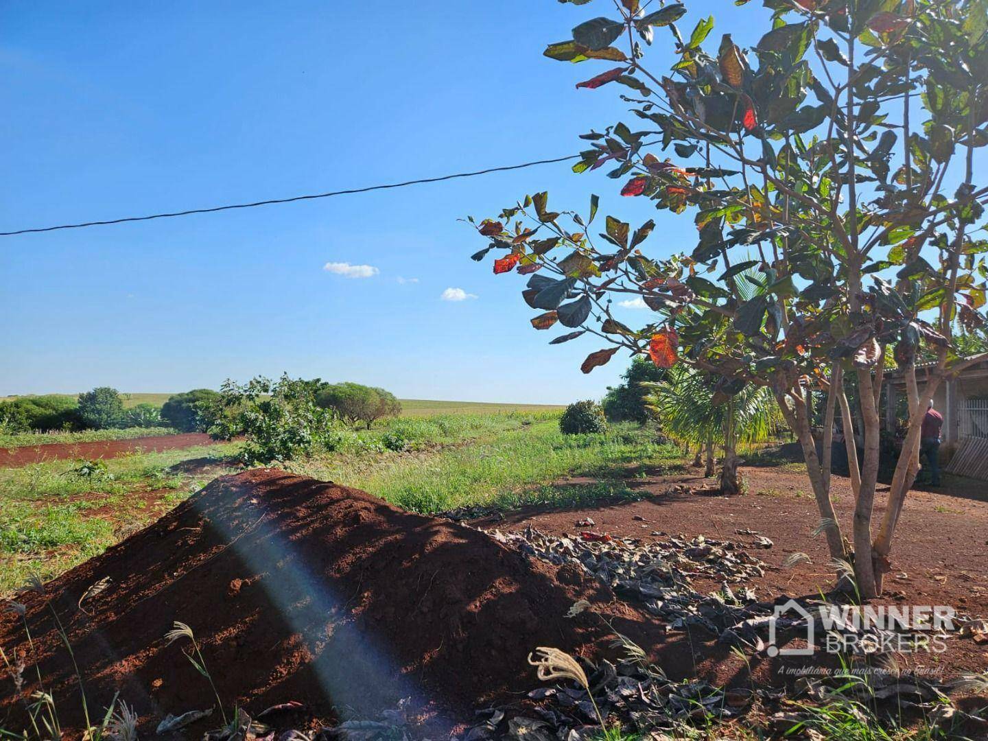 Chácara à venda com 1 quarto, 2500M2 - Foto 8