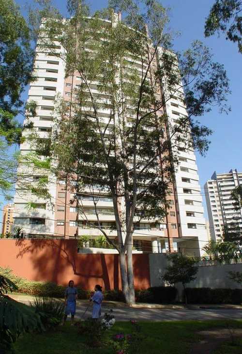 Apartamento à venda com 4 quartos, 356m² - Foto 1