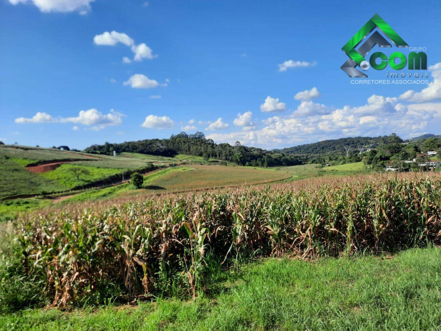 Terreno à venda, 20000M2 - Foto 4