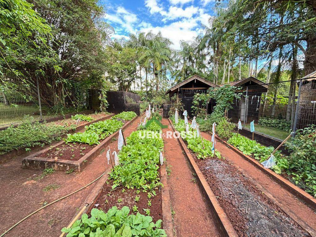 Chácara à venda com 3 quartos, 3000M2 - Foto 50