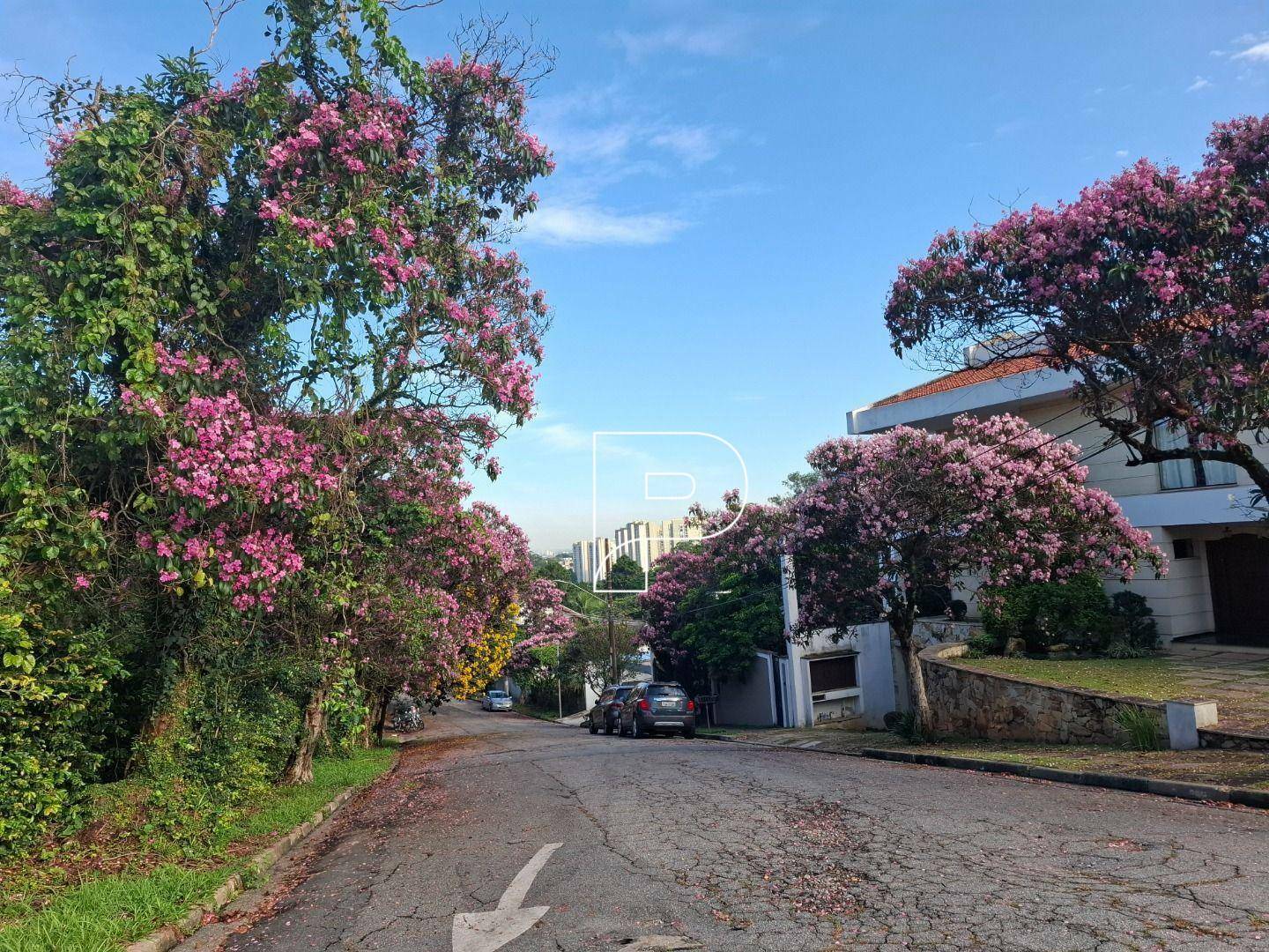 Casa de Condomínio à venda e aluguel com 3 quartos, 492m² - Foto 66