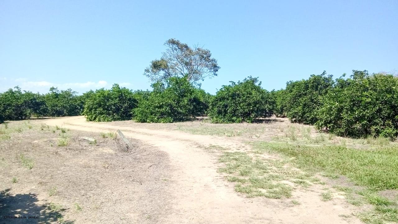 Fazenda à venda, 500000m² - Foto 5