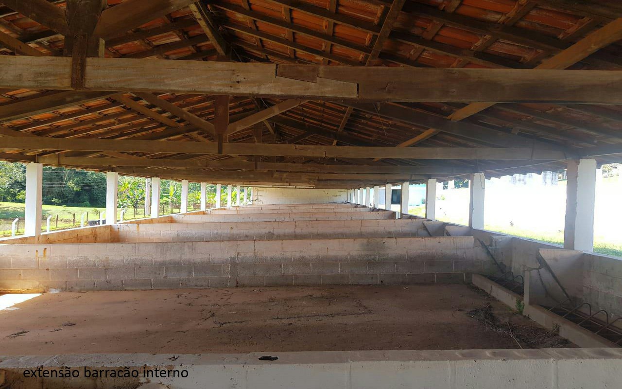 Sítio à venda com 7 quartos, 16600m² - Foto 33