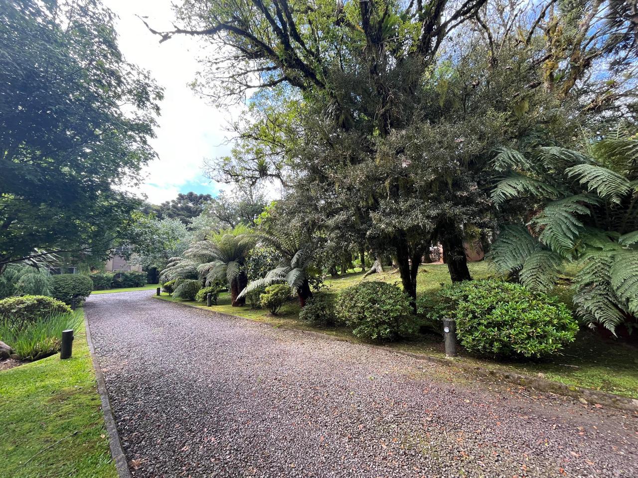 Terreno à venda, 220m² - Foto 3