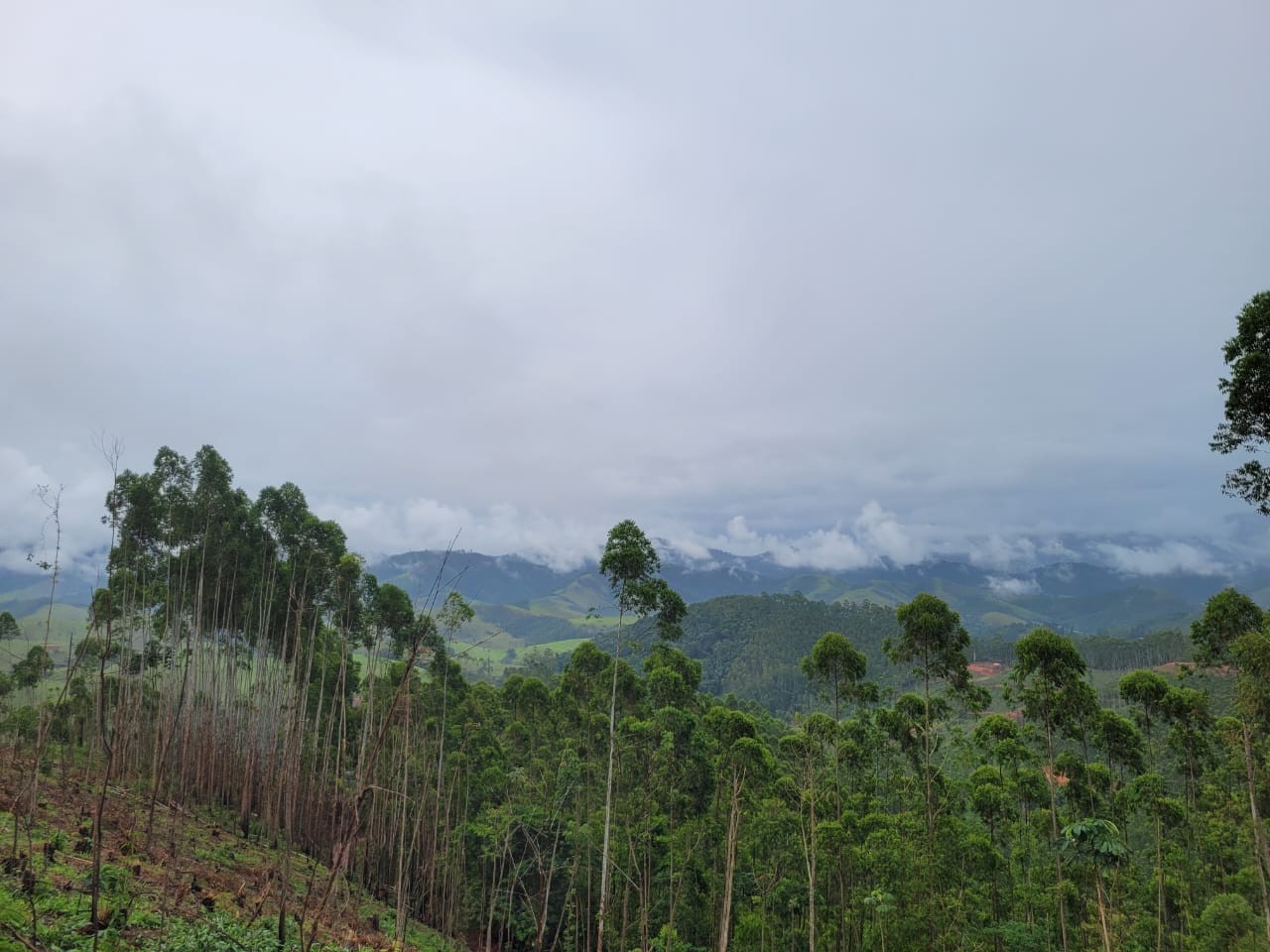 Terreno, 3 hectares - Foto 3