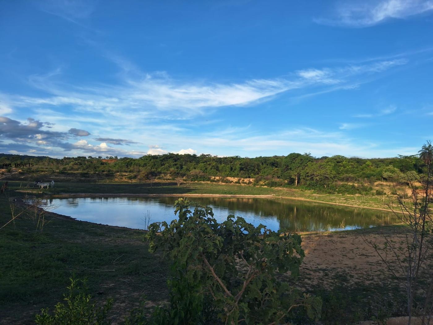 Fazenda à venda, 26000m² - Foto 3