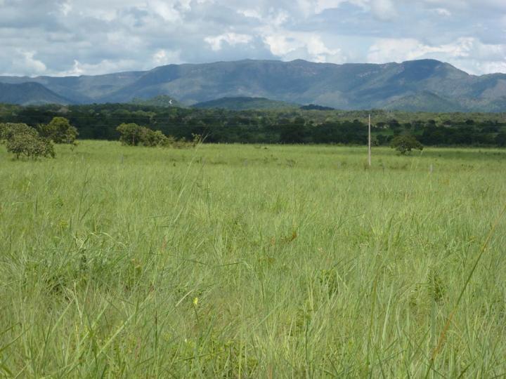 Chácara à venda, 1200m² - Foto 13